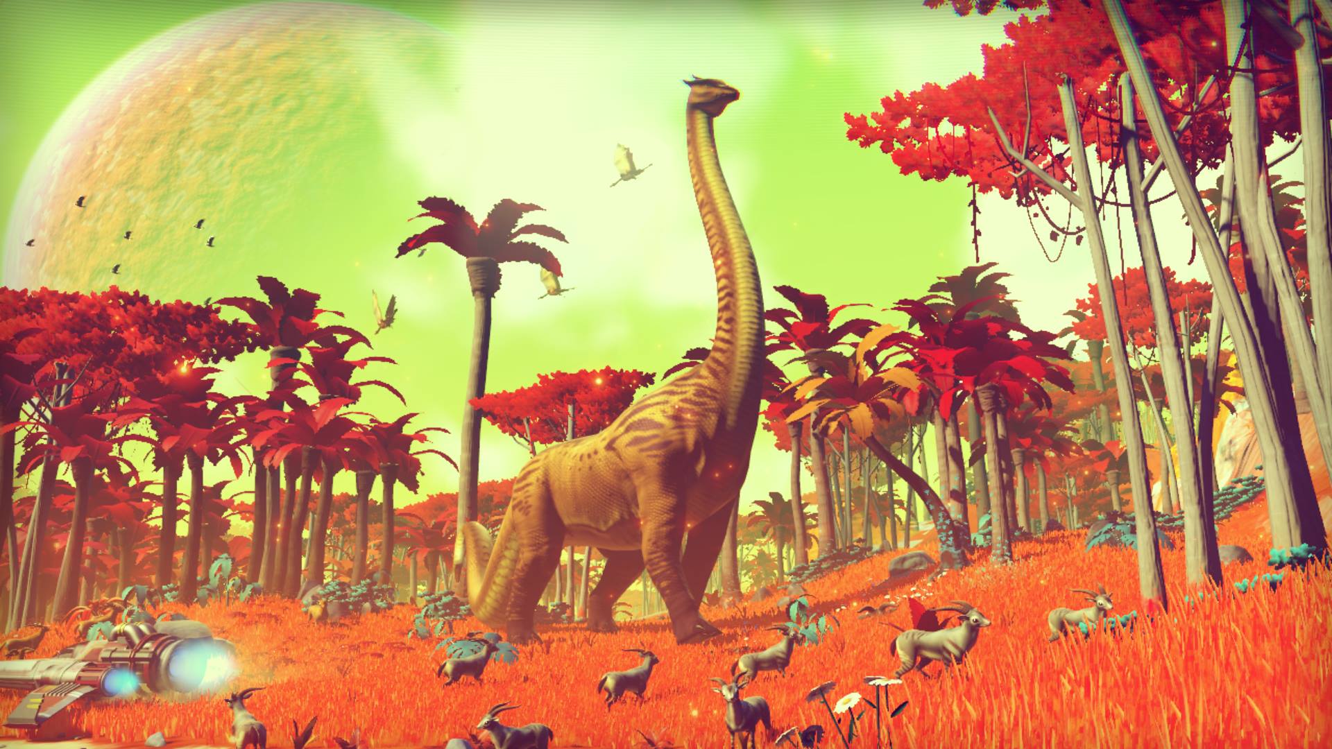 nms01