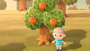 A villager standing next to an orange tree.